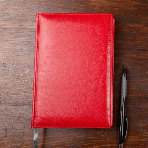 Leather Top Diaries